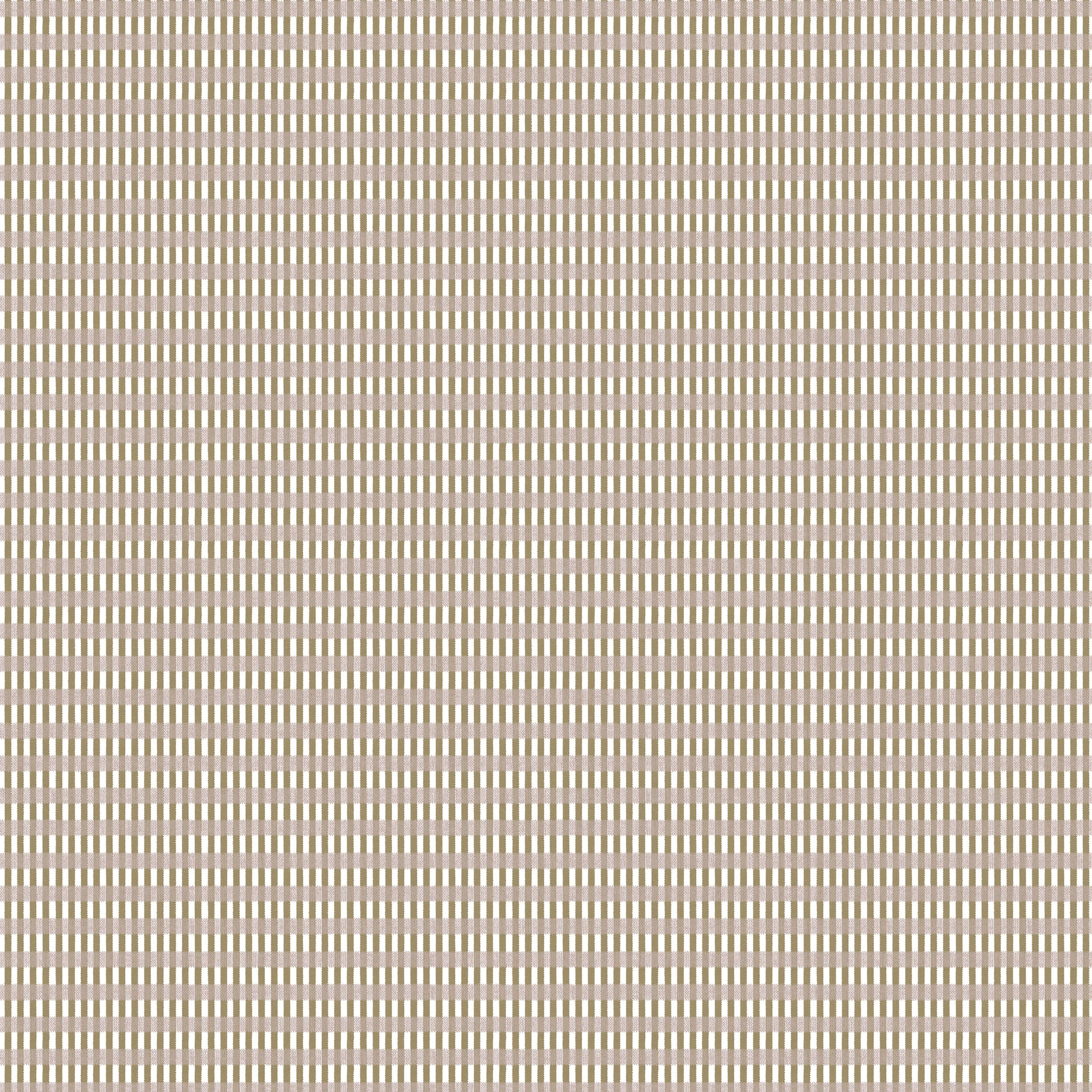 WEB100_RAIL CHECK_Caramel Pink.jpg