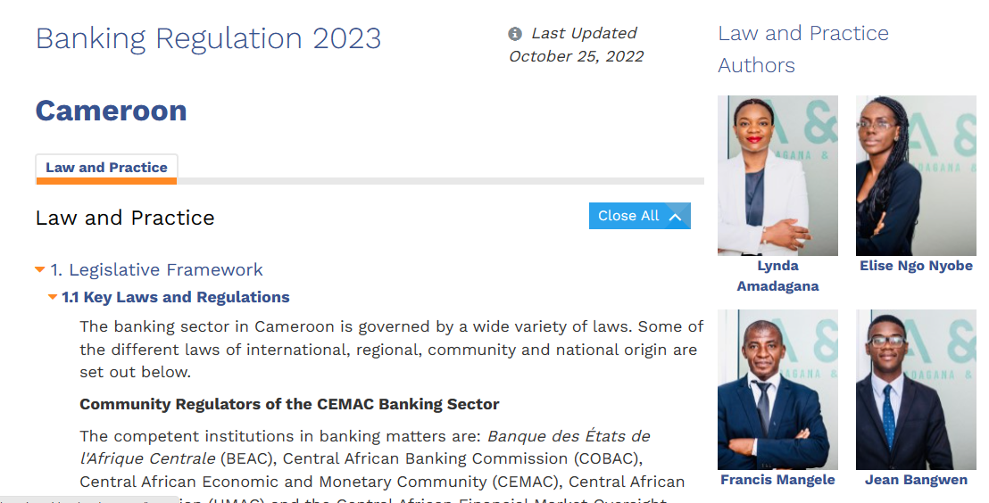 Amadagana &amp; Partners contributes to the Chambers &amp; Partners Banking regulation Guide
