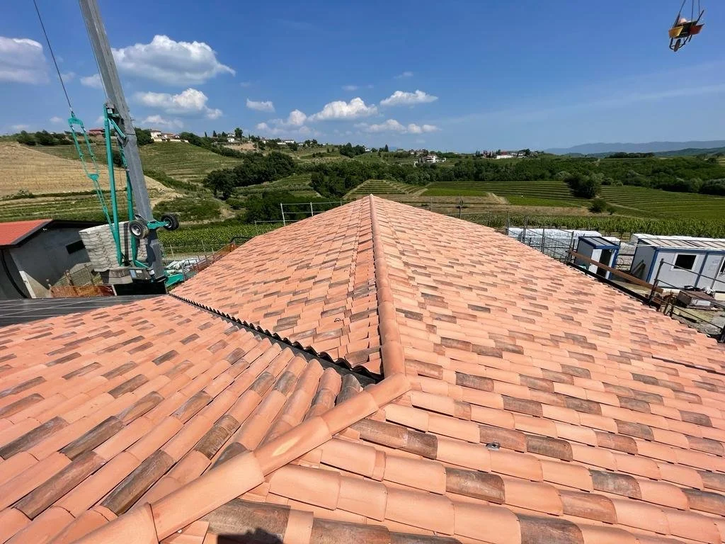 PHOTO-2023-02-08-14-43-37 2.jpg