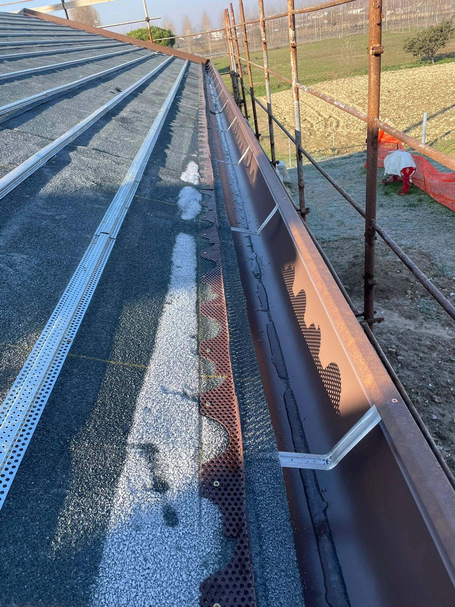 WhatsApp Image 2023-02-01 at 02.50.04.jpeg