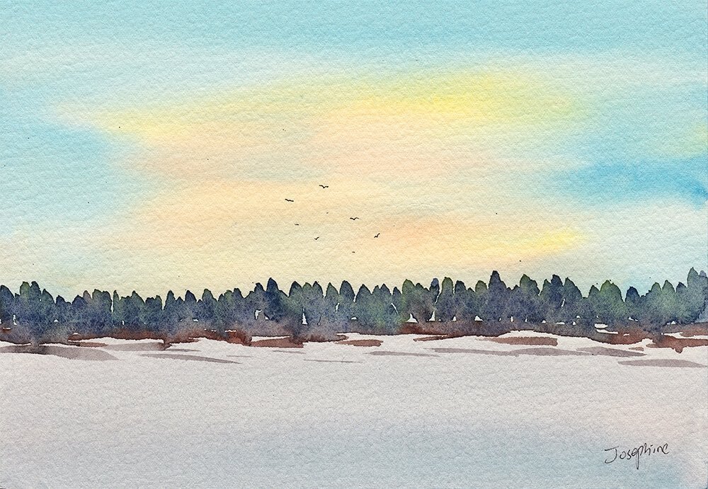 Winter forest in the evening. This is an imaginary painting but I feel like I’ll like to visit this forest and enjoy the cold air and the smell of the trees!⁠⁠
⁠⁠
@fabriano1264 5x7 with @isaro_watercolors_oil_paint⁠⁠
⁠⁠
#aquarelle #watercolor #waterc