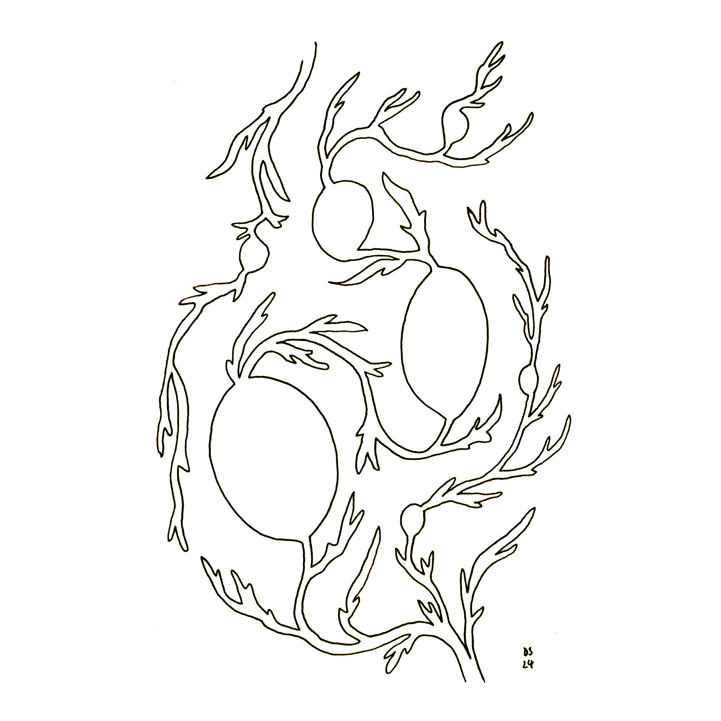 Continuous line (2024)
Ink on paper