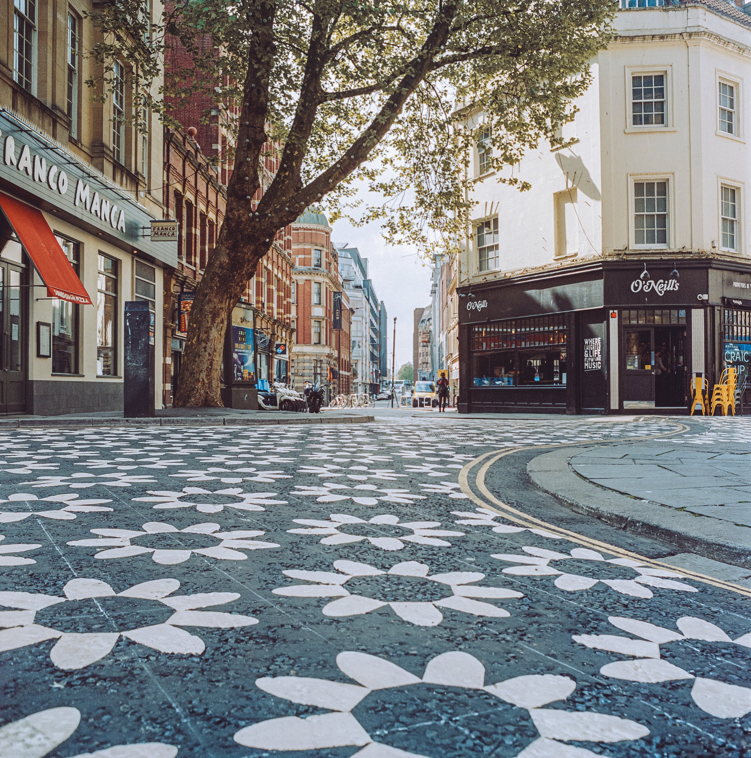 Bristol Flowers_9.jpg