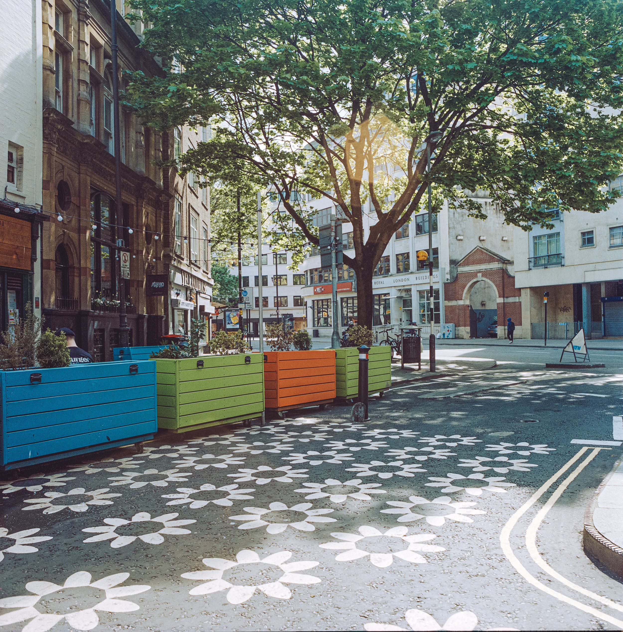 Bristol Flowers_6.jpg