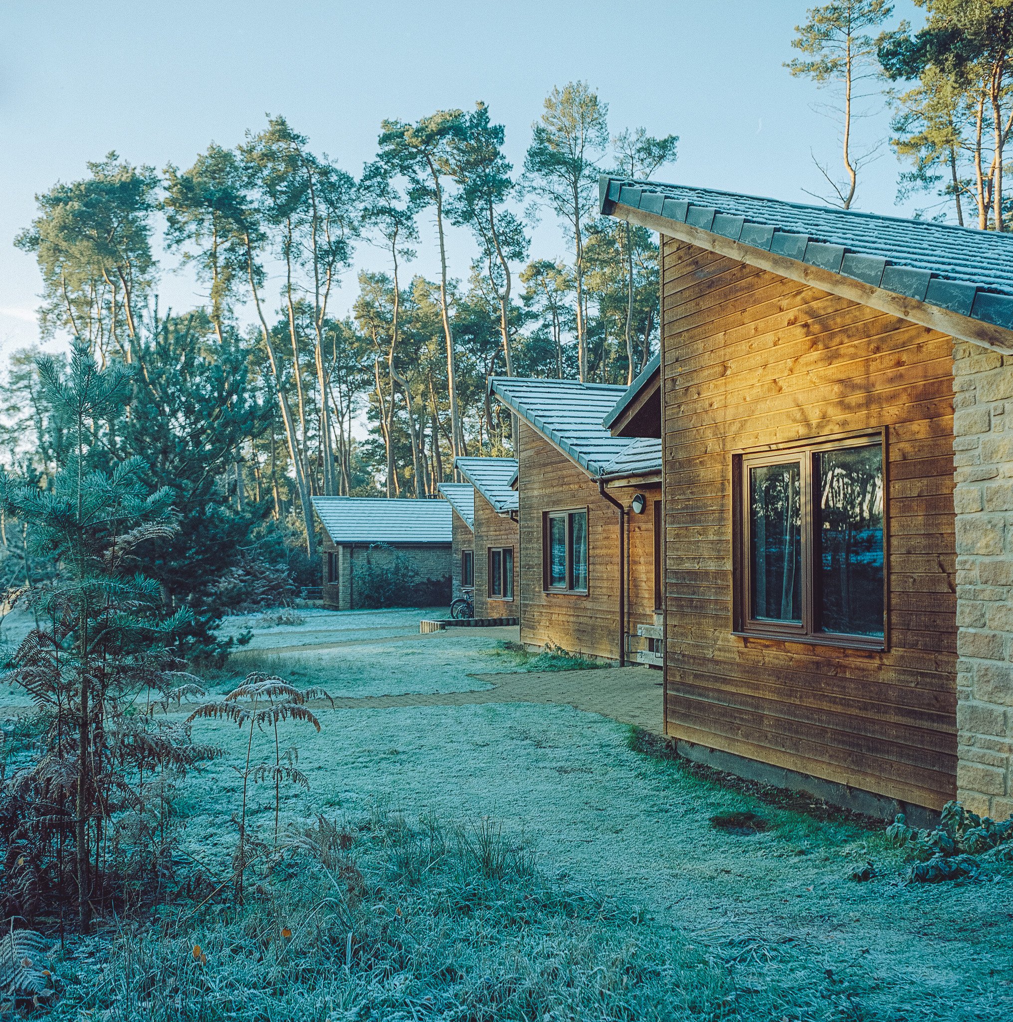 Centre Parcs_4-2.jpg