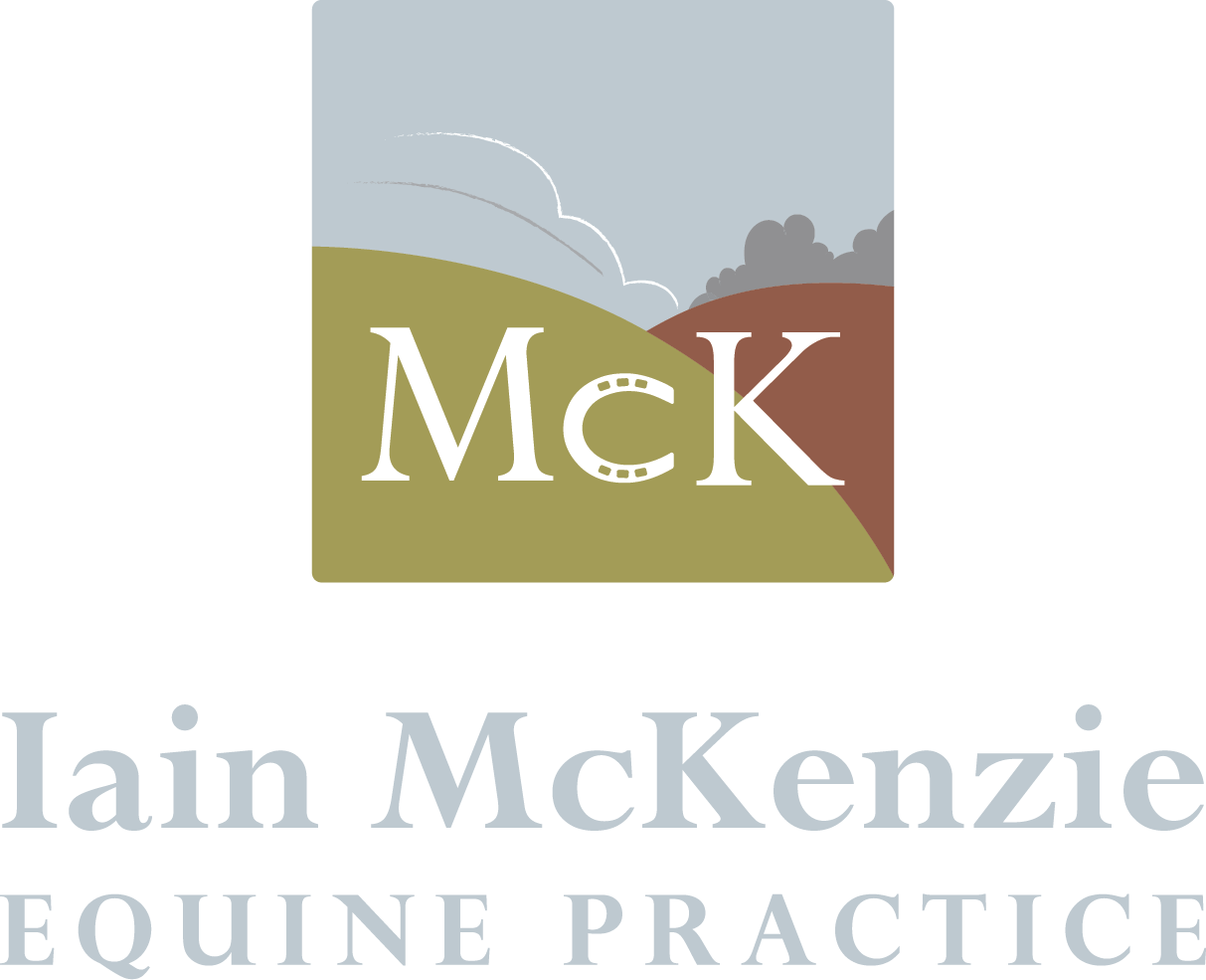 Iain McKenzie Equine Practice 