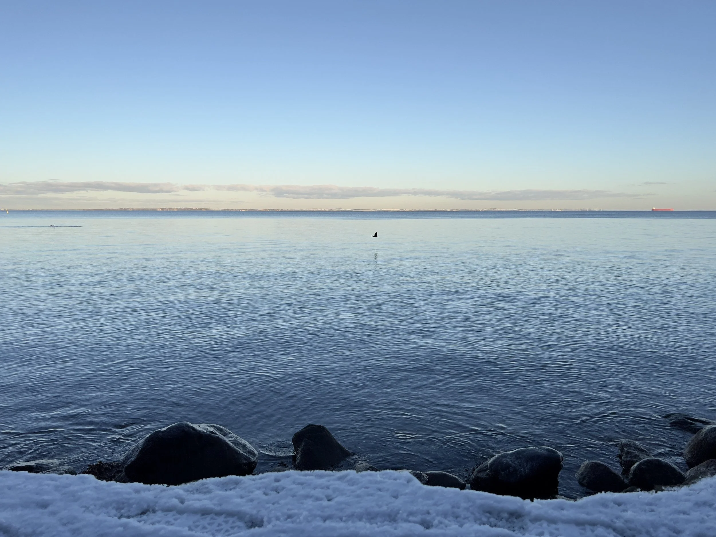 Calm ocean water in Copenhagen.