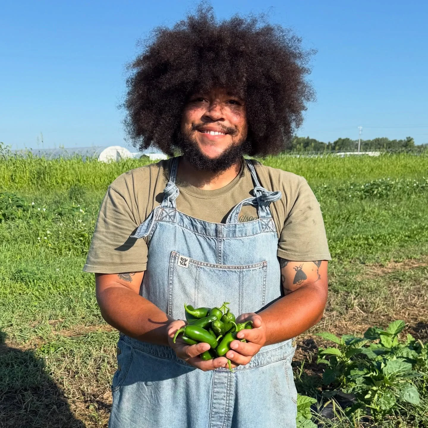 Peppers and zinnias make fast friends. 

Every year we plant some zinnias in our pepper field. Zinnias are a good companion for hot peppers because they can increase pollinators to help with pepper pollination. Zinnias are one of THE BEST annuals for