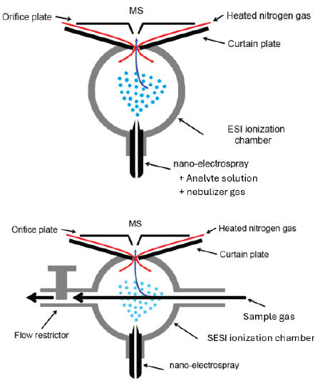 Secondary Electrospray Ionization Mass Spectrometry for Volatile Analysis: Current Challenges and Emerging Solutions
