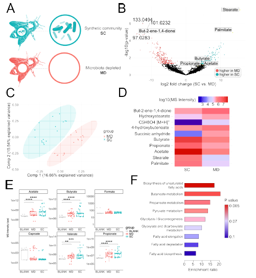 Applications of High-Resolution Mass Spectrometry in Metabolomics