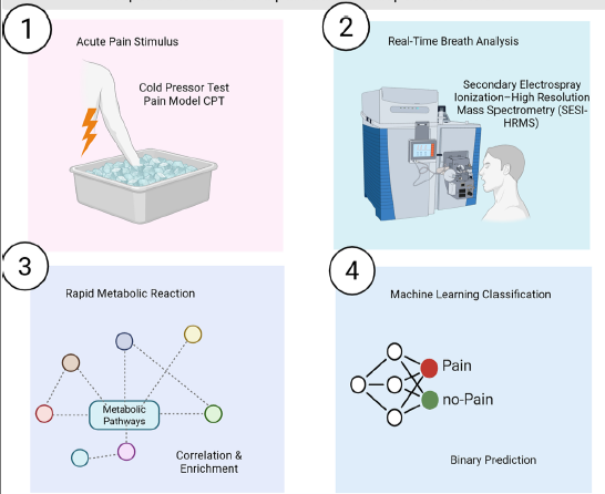 Cold induced pain elicits reproducible breath metabolomic responses across geographically distinct populations