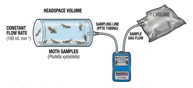 Pheromone Measurement Using Secondary Electrospray Ionization and Portable Membrane Inlet Mass Spectrometry