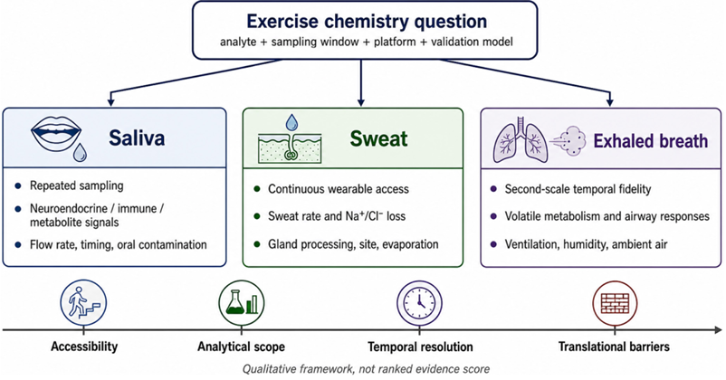 Saliva, Sweat, and Exhaled Breath as Alternative Specimens for Exercise Chemistry: Analytical Advantages, Limitations, and Comparative Progress