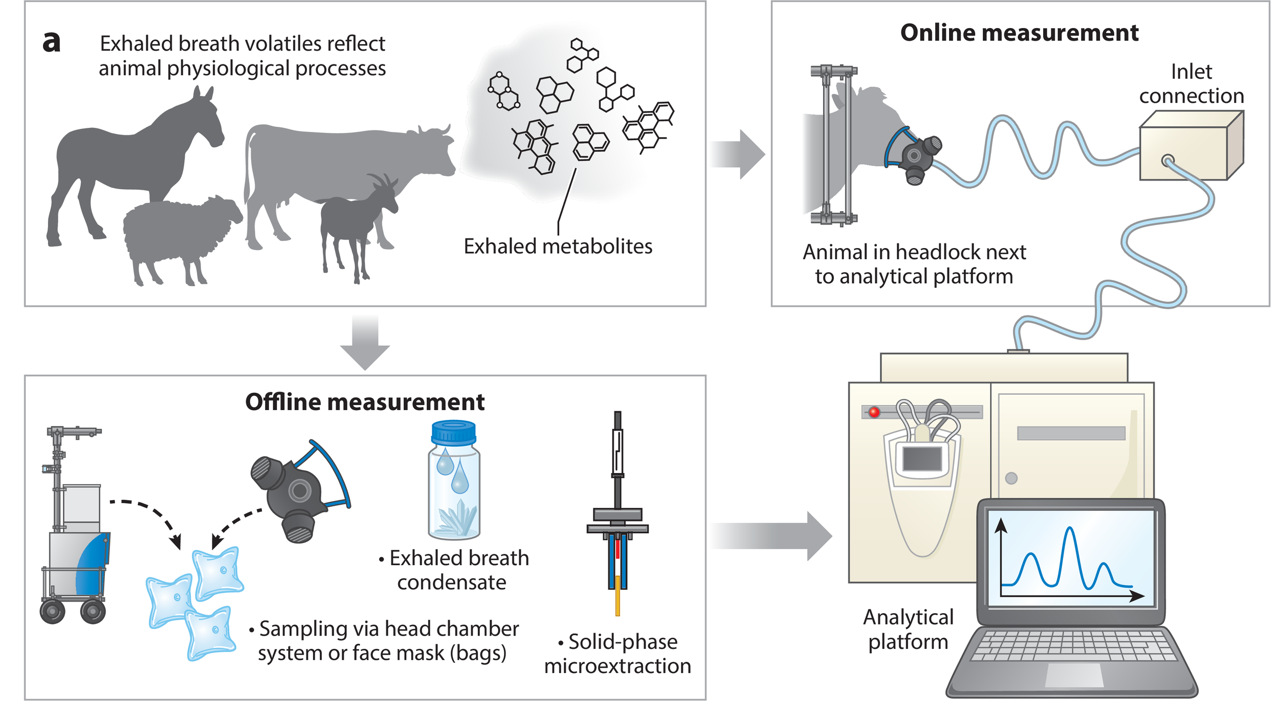 Breathprints of the Barn: The Future of Livestock Research and Monitoring with Exhalomics