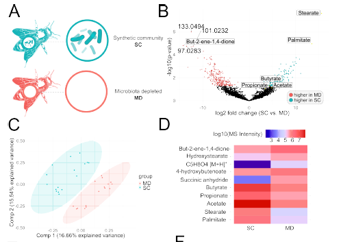 Applications of High-Resolution Mass Spectrometry in Metabolomics