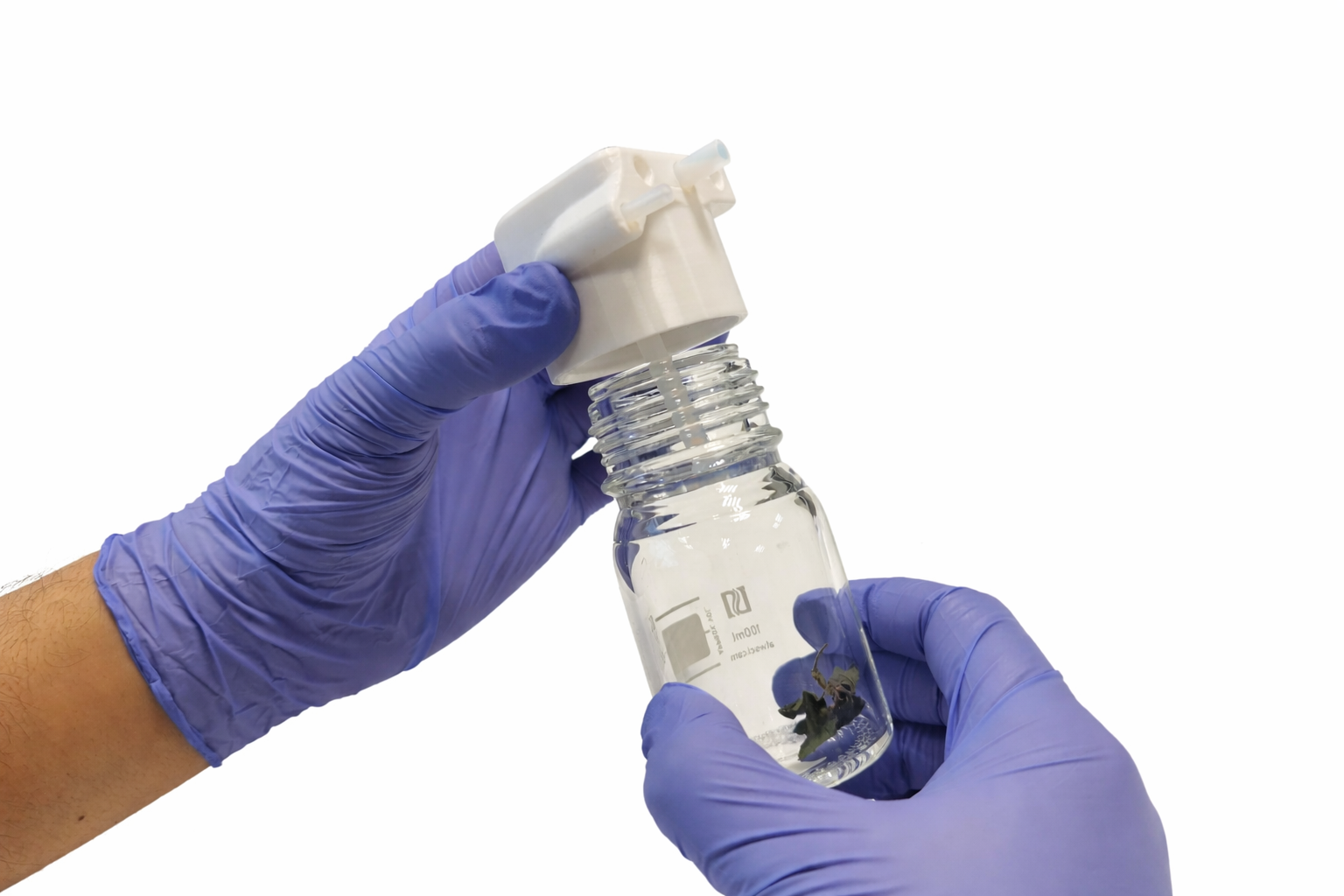 SWIRLION VOC Caps 6.png