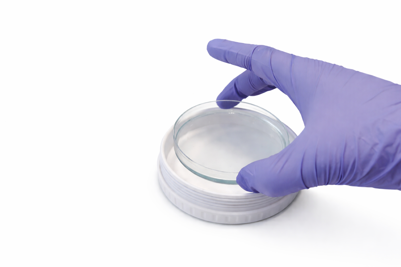 SWIRLION VOC Caps 8.png