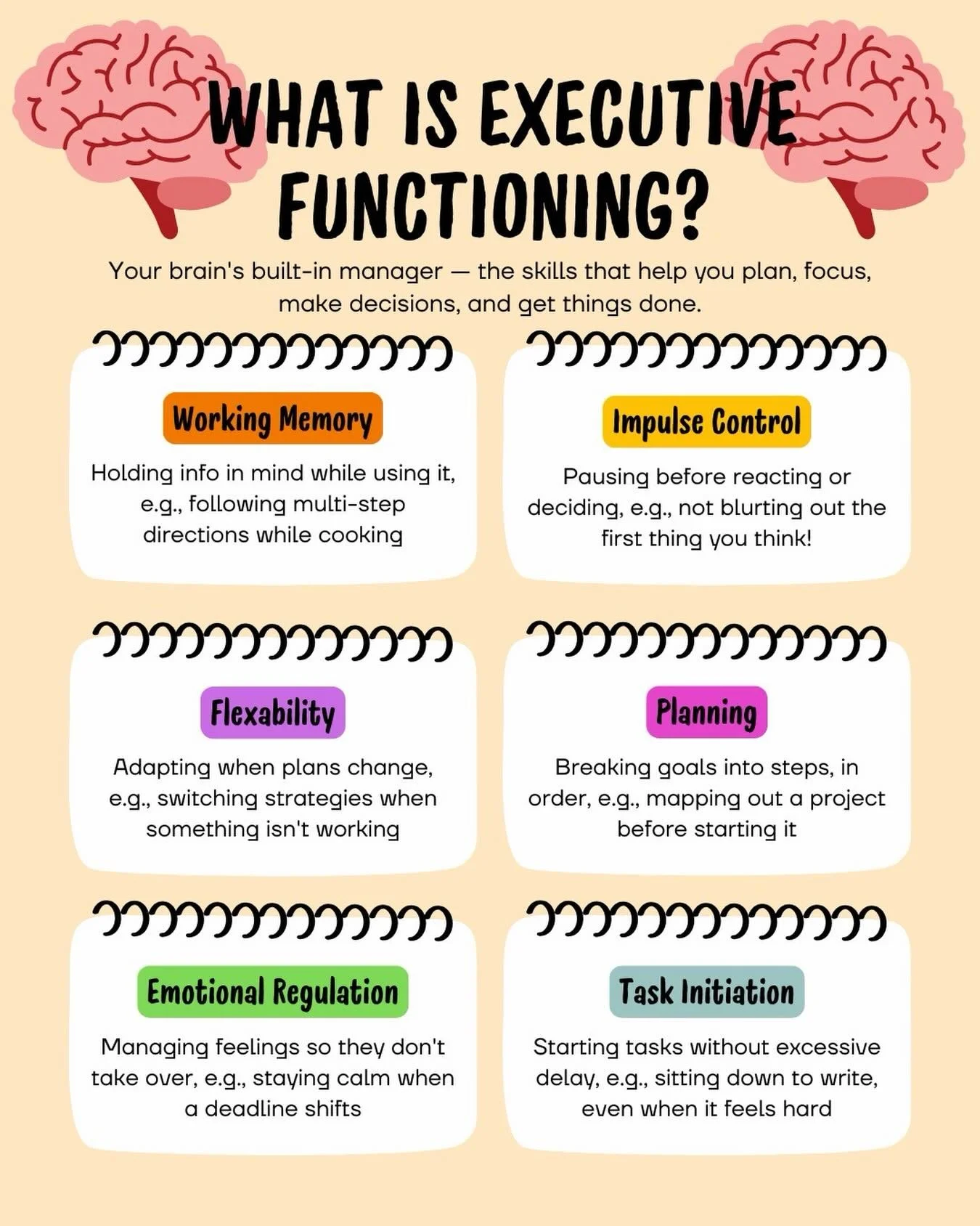 Maybe you&rsquo;ve heard of a group of skills called &ldquo;executive functioning&rdquo;, but what really are EF skills, and why are they important? 
Executive functioning skills are groups of higher-order thinking, planning, and organizational skill