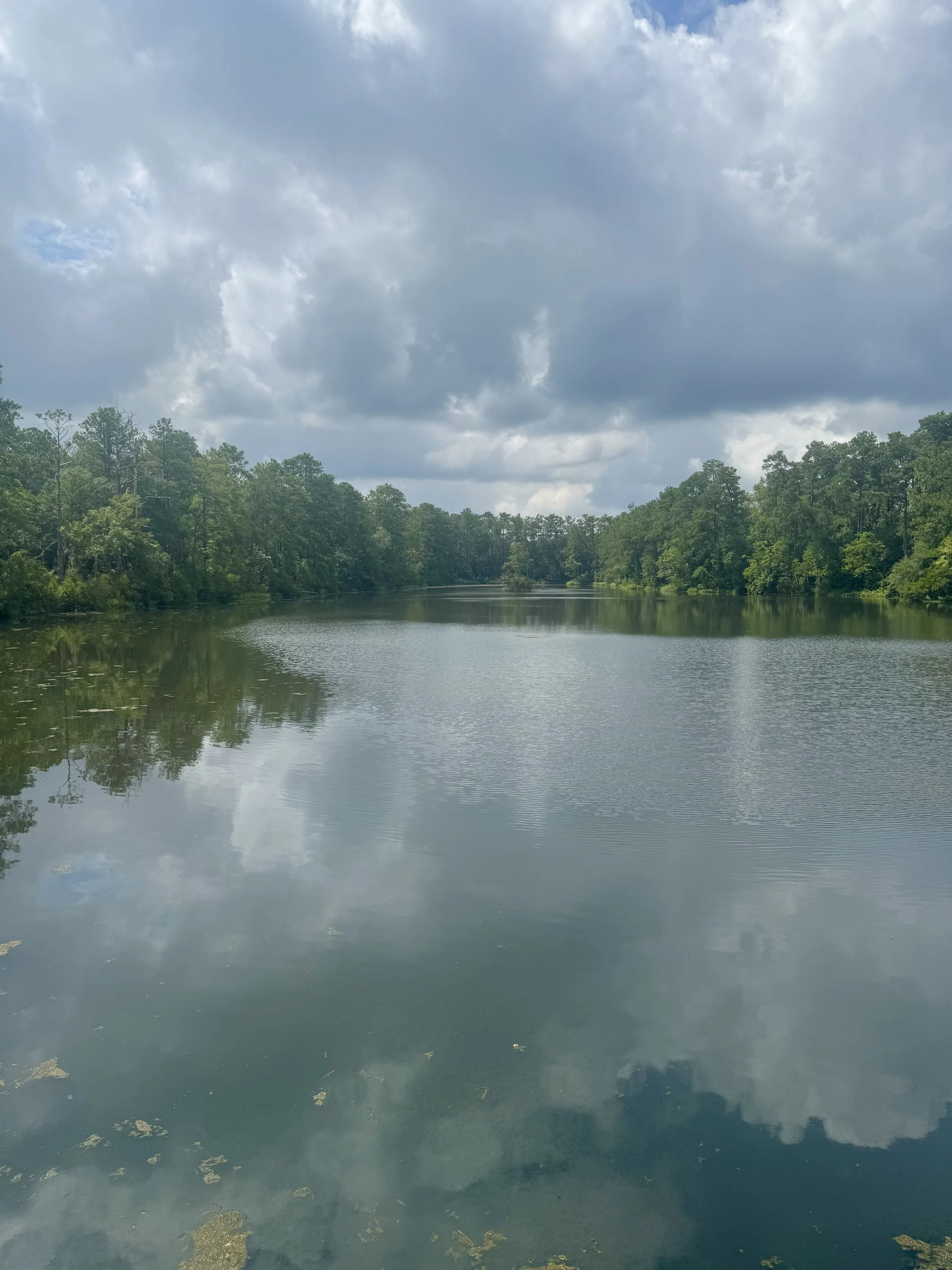 Healthcare Planning: Why It Matters More Than Ever