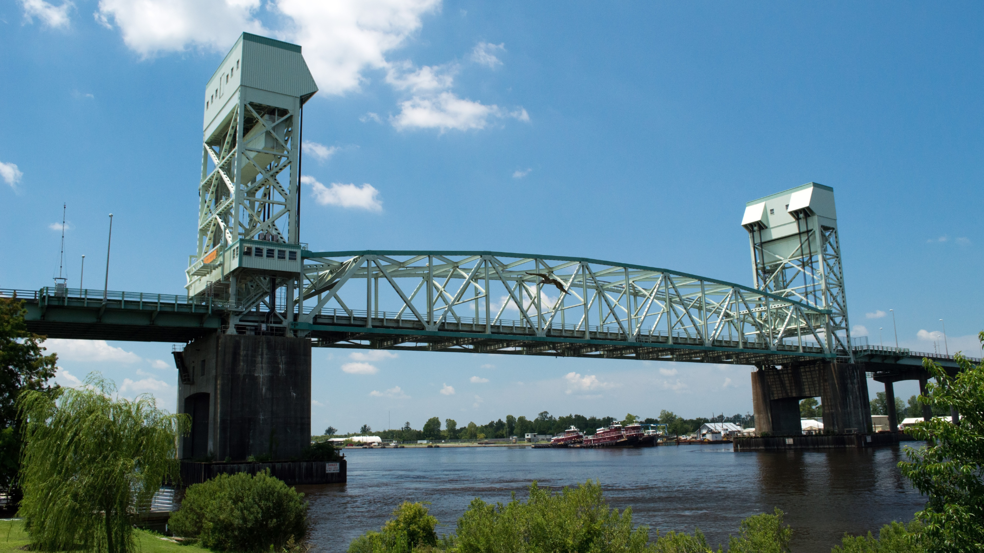 The Role of Preventive Care in Healthy Aging