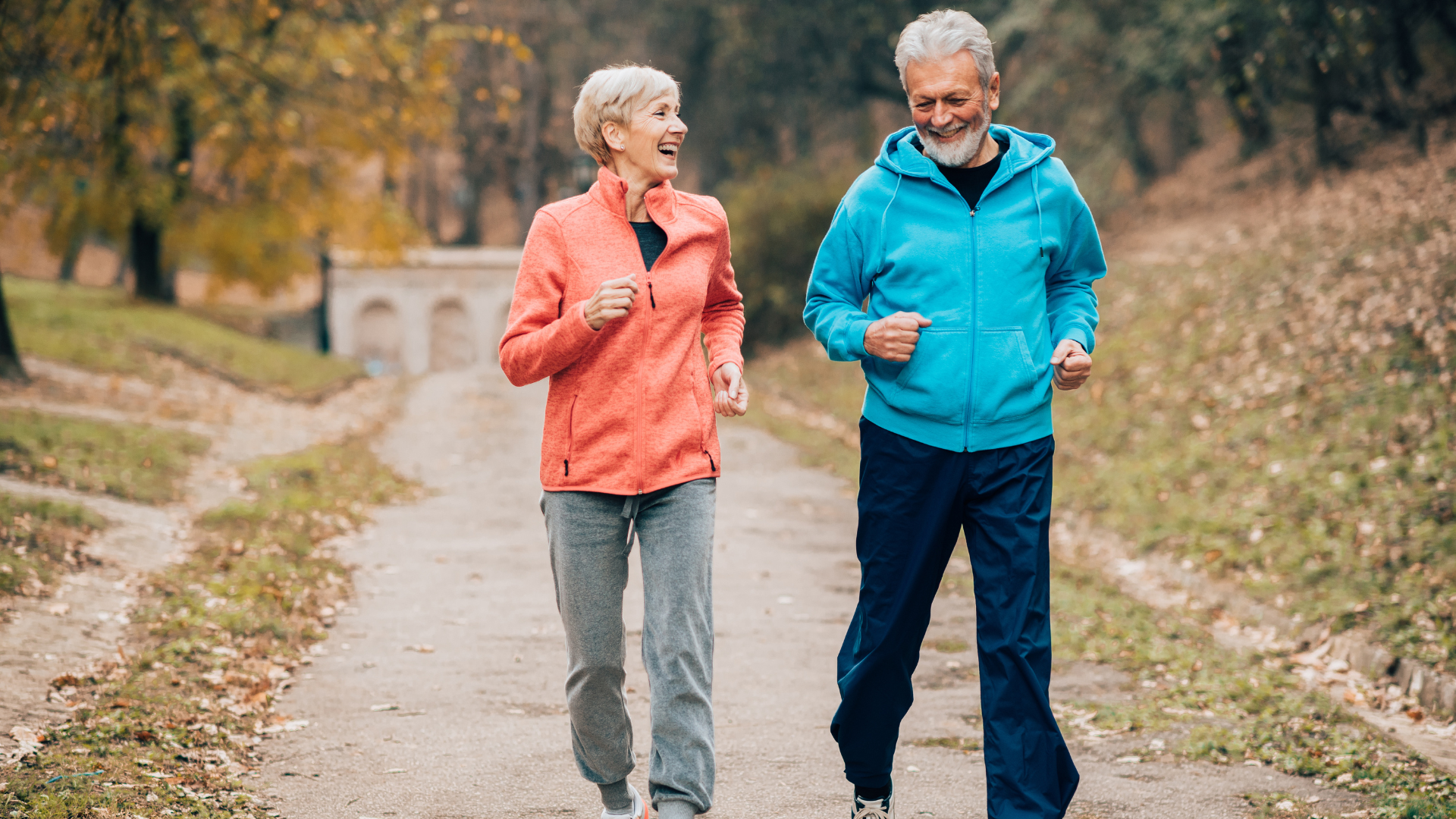 Giving the Gift of Clarity: Organizing Your Estate Plan Before Year-End