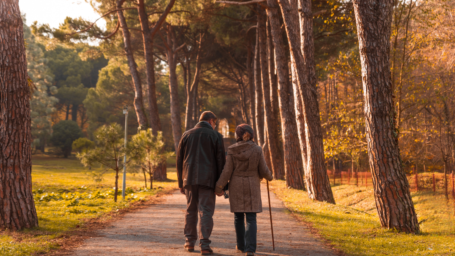 Estate Planning for the Holidays: Ensuring Peace for Generations