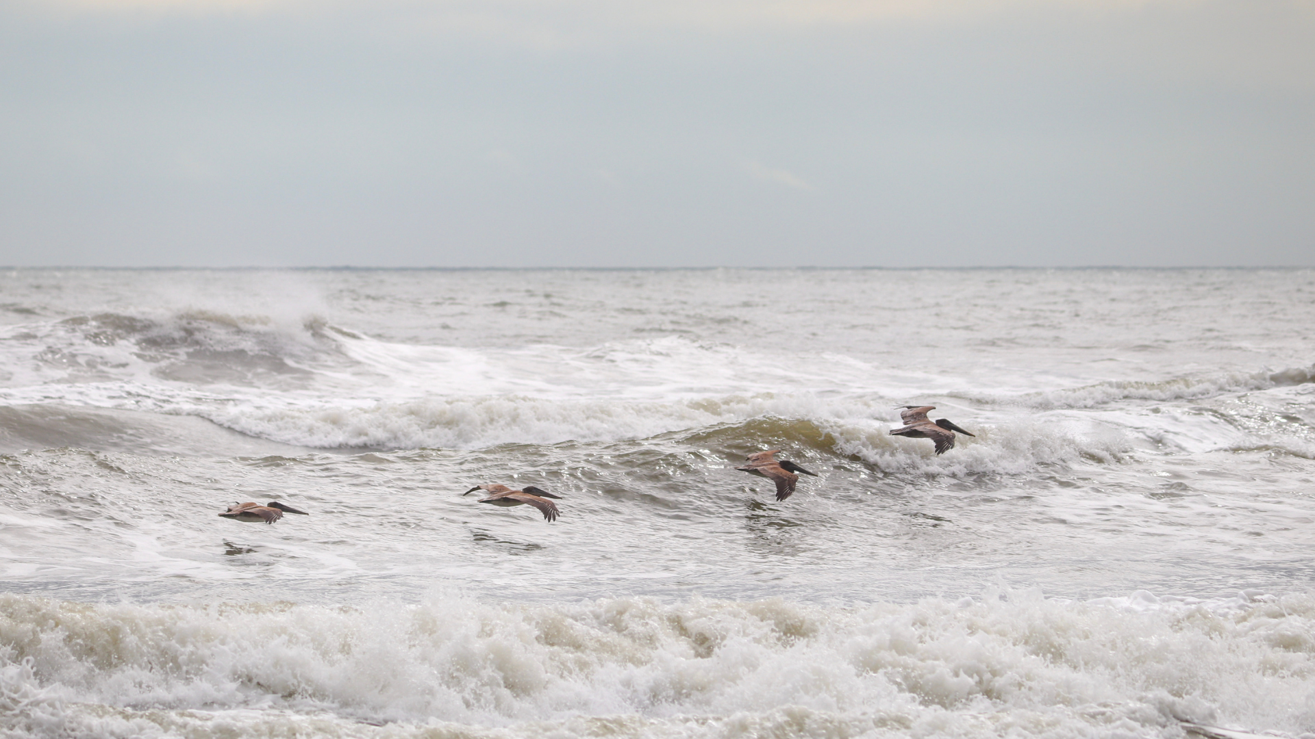 Reviewing Your Life Insurance Needs in Retirement