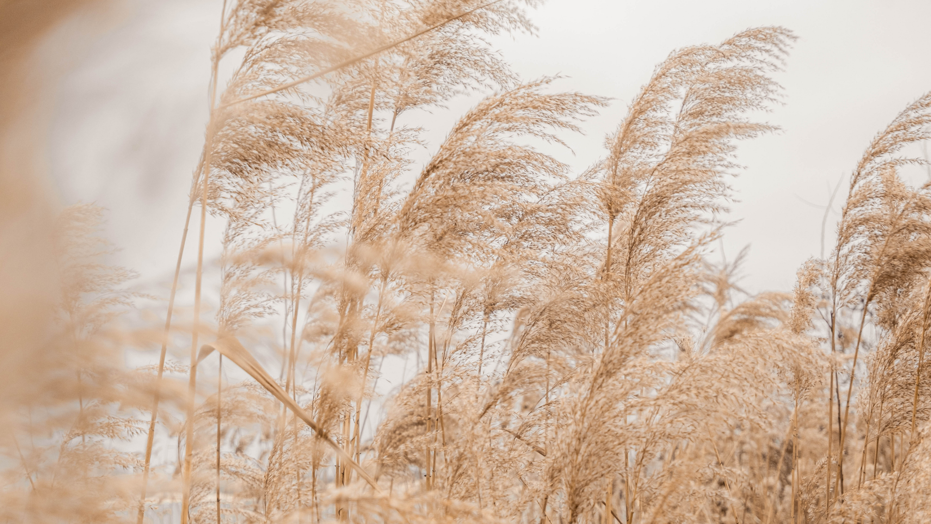 Reviewing Your Estate Plan Each Year