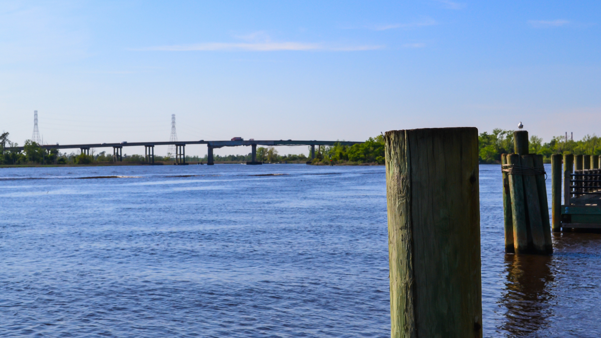 Digital Tools to Keep Your Estate Plan Organized