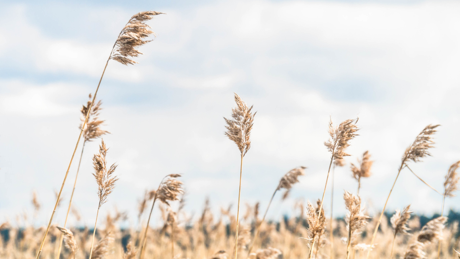 Budgeting for Healthcare Costs on a Fixed Income