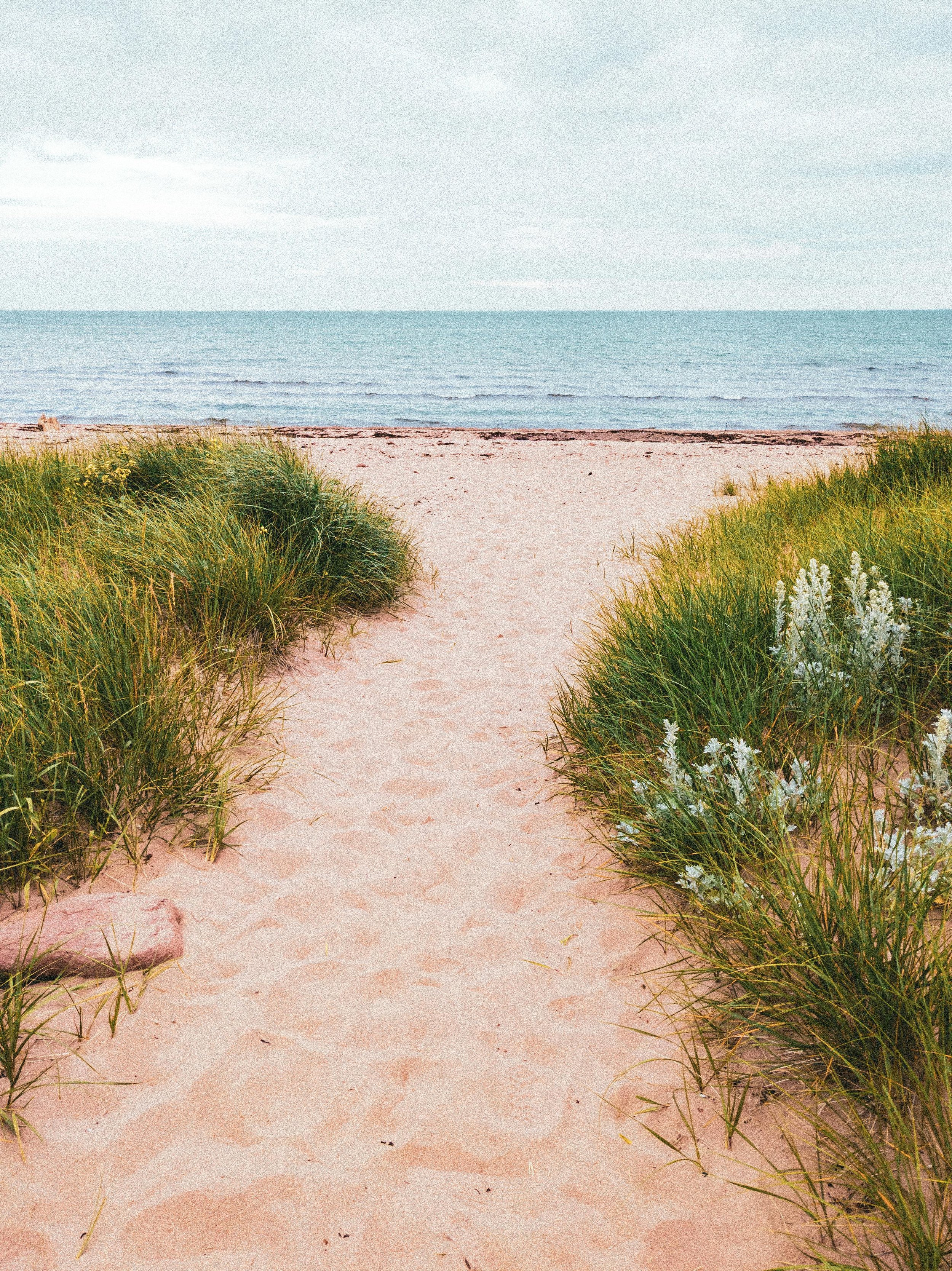 Long-Term Care vs. Self-Funding: What Are Your Options