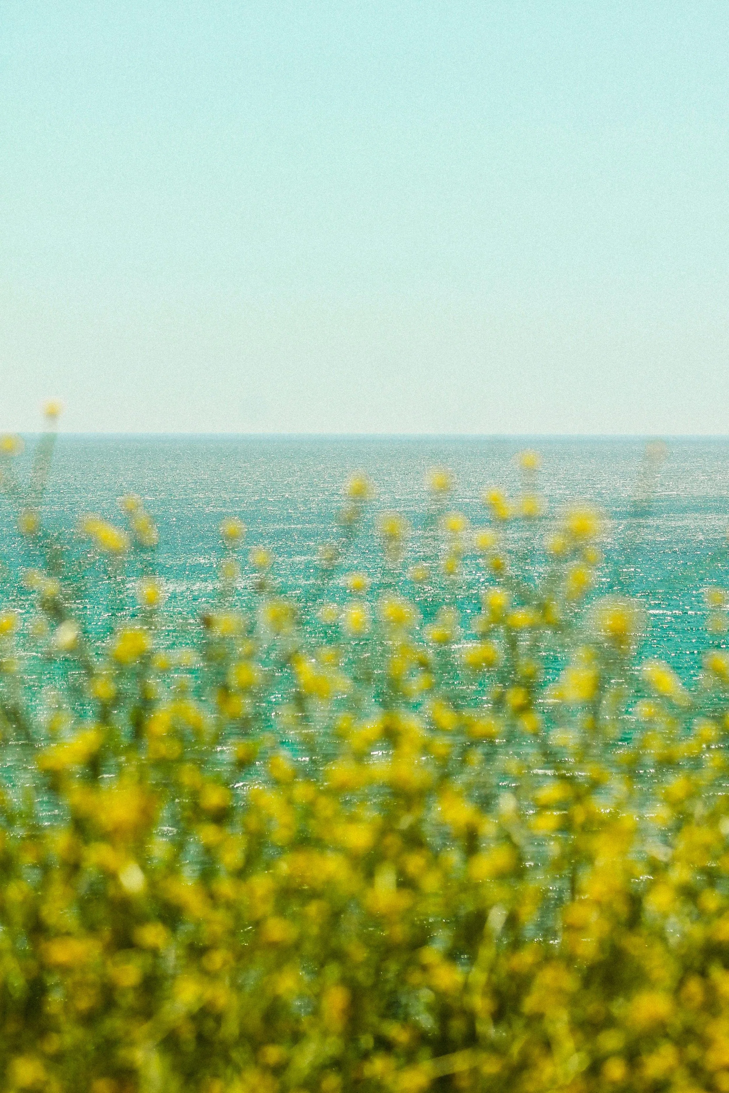 Spring Into Action: Why Waiting to Plan for Retirement Can Cost You