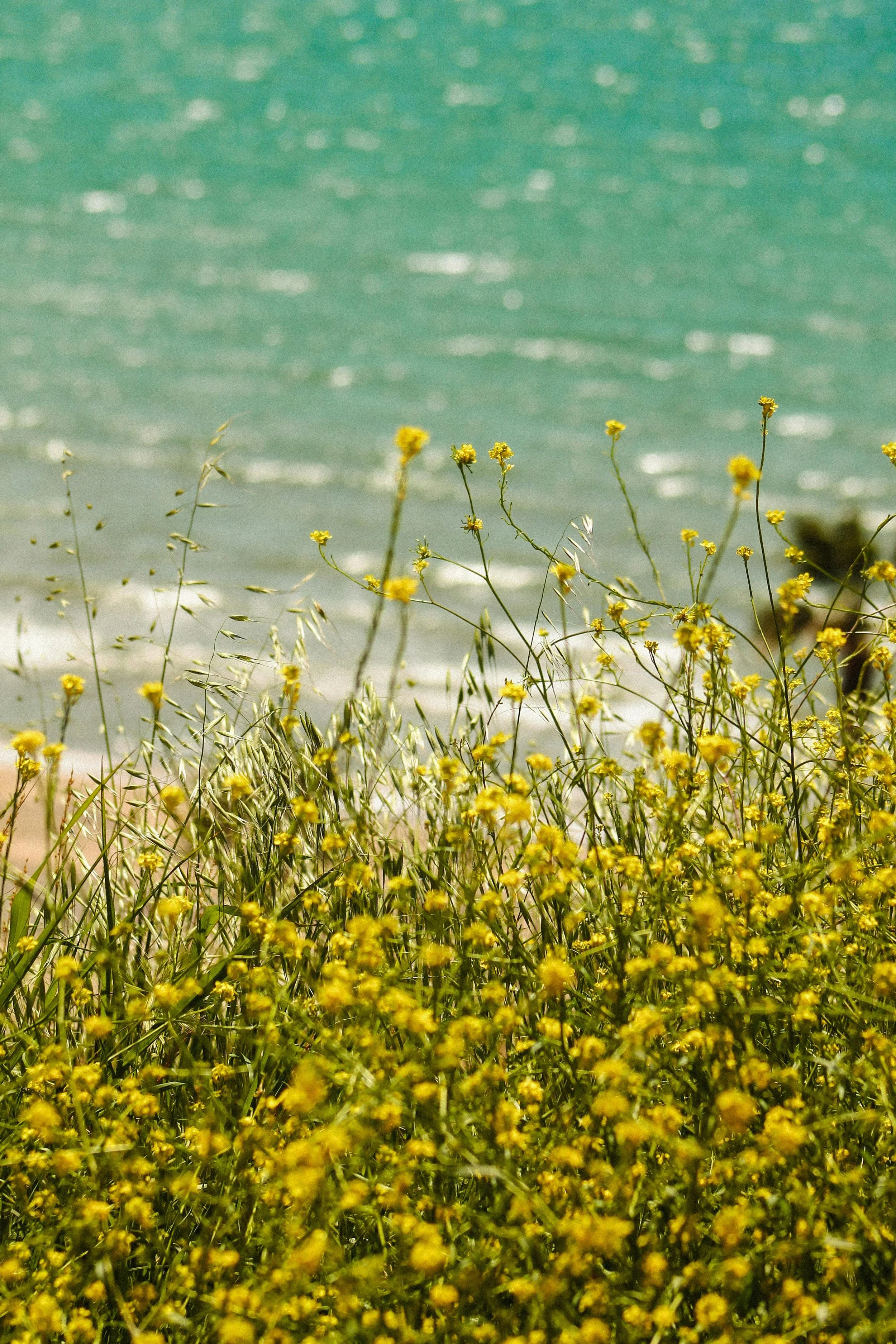 Organizing Your Financial Life: Documents You Should Have in Place This Spring