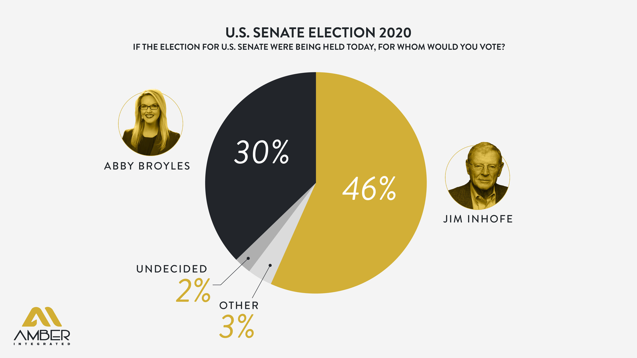2020 U.S. Senate Election Polling_Pie Chart-01.jpg
