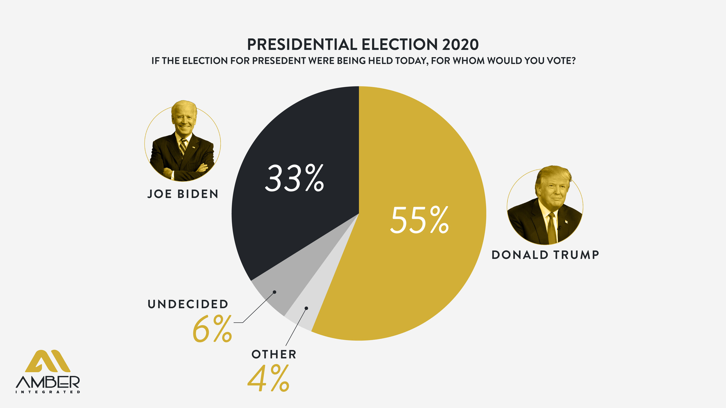 2020 Presidential Election Polling_Pie Chart-01.jpg