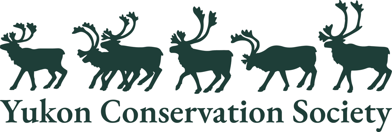 Yukon Conservation Society