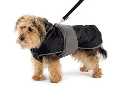 jacket harness dog