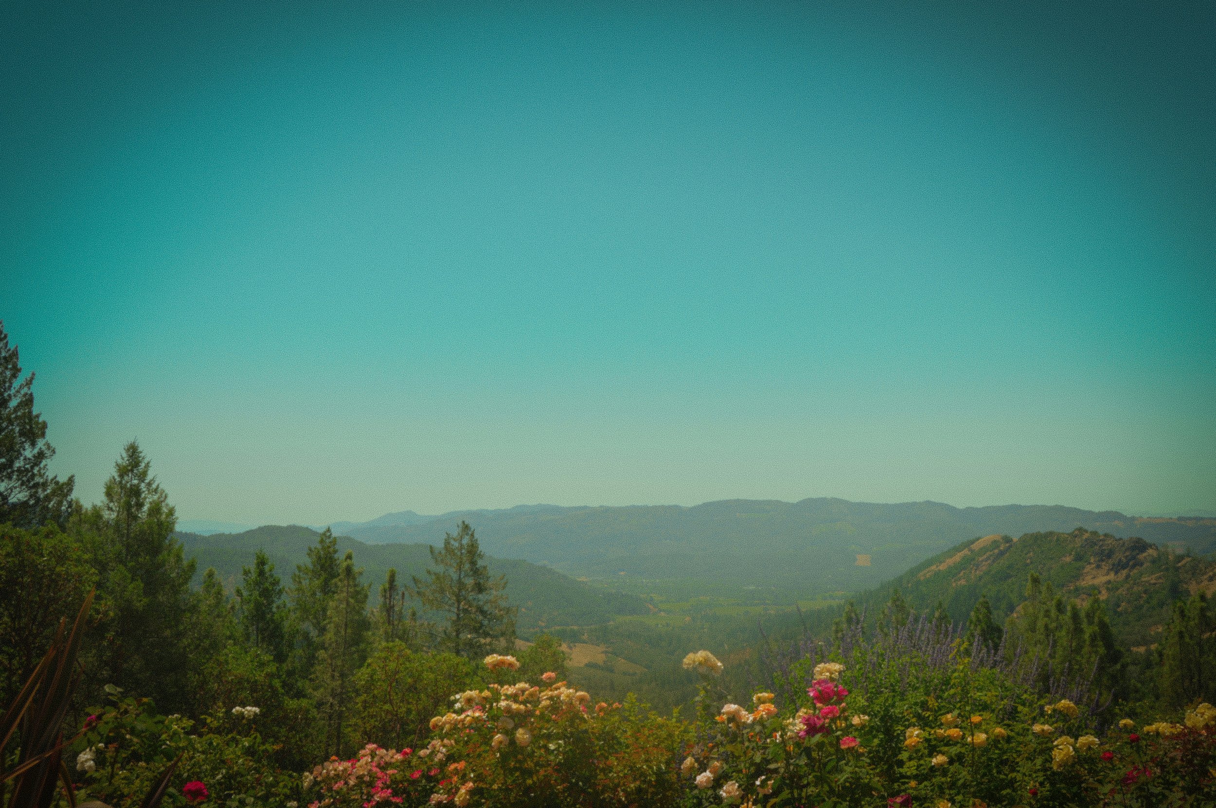 Don’t Let the Valley of Despair Kill Your Dream