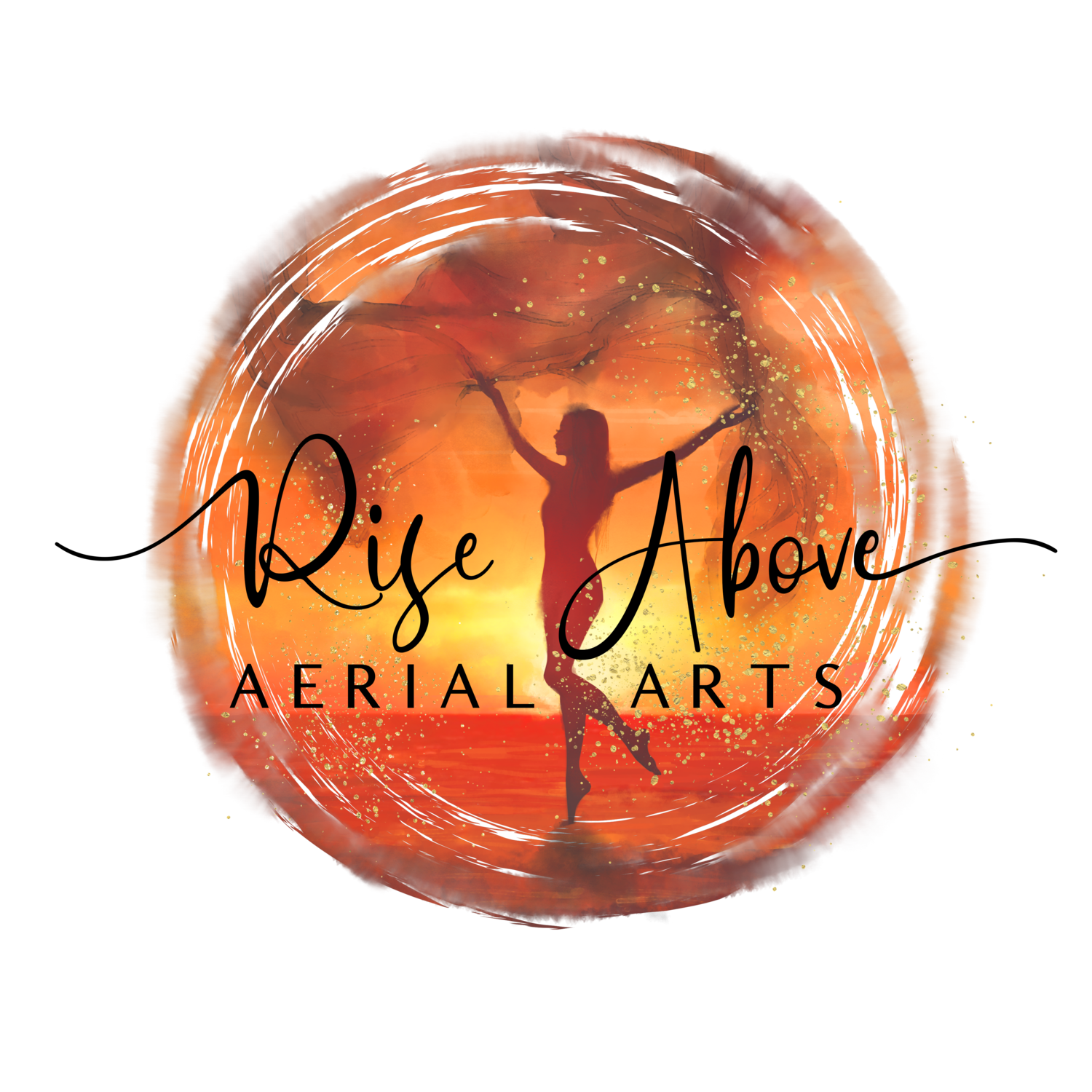 Rise Above Aerial Arts