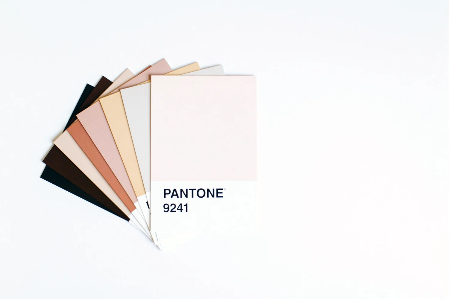 10 Creative Tools I Use Almost Every Day