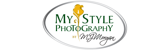 Gallery Preview