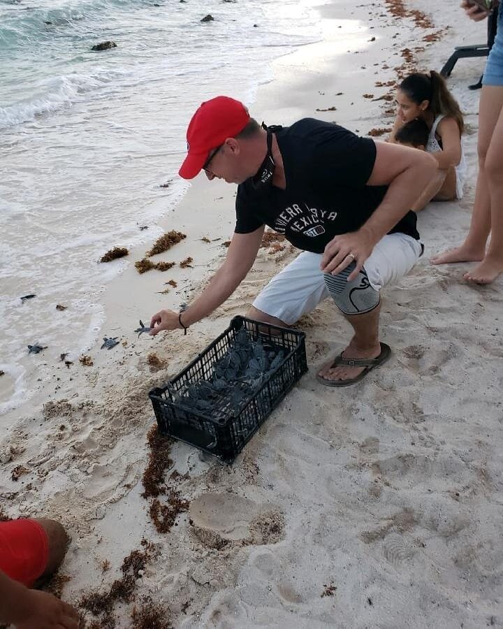 Just hanging out at the beach releasing newly hatched baby sea turtles. No big deal.
&deg;
&deg;
&deg;
#mybarcelo #babyseaturtles #barcelomaya #barcelomayariviera #barcelomayagrandresort #barcelomayapalace #rivieramayaturtles #mayanriviera #cancunmex