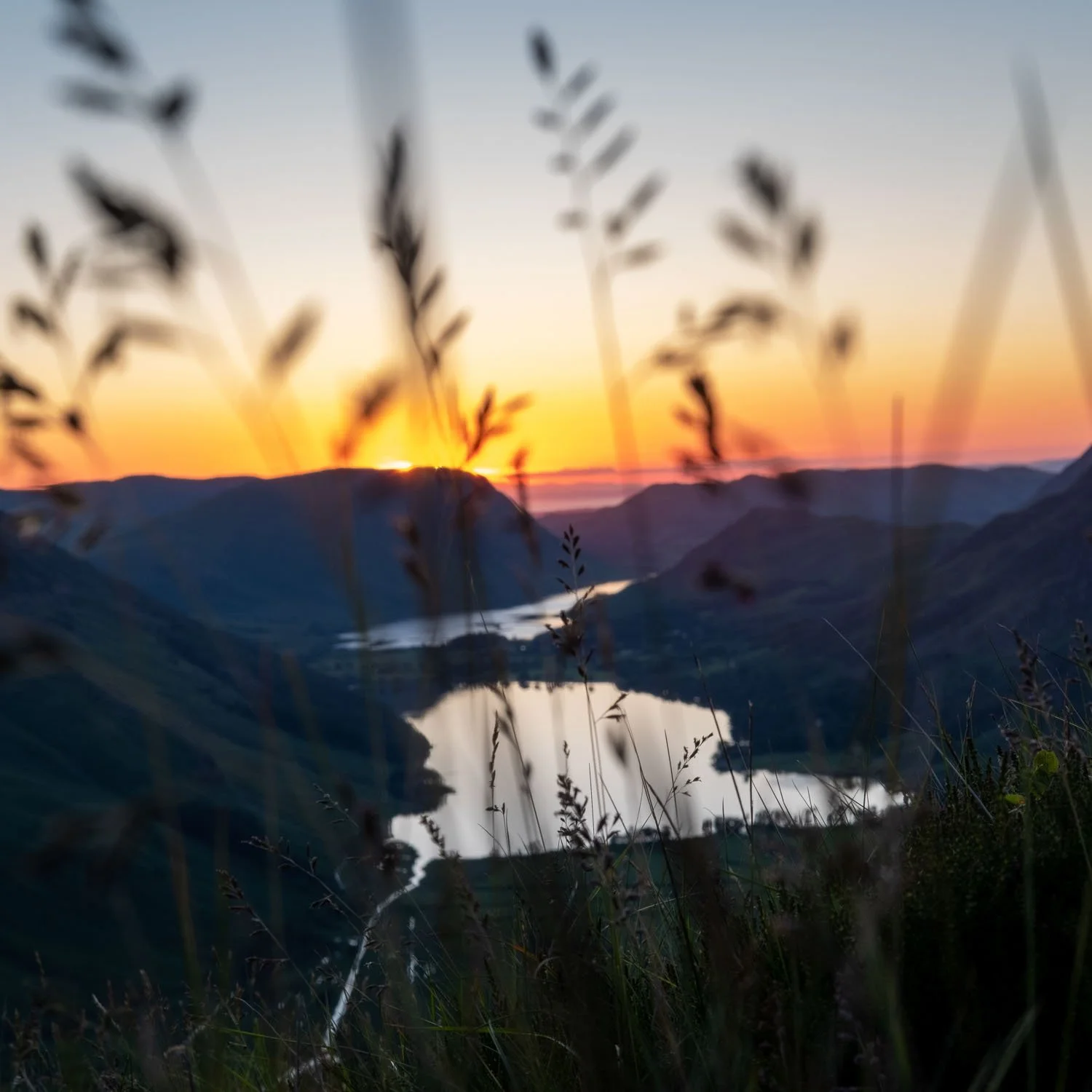 Landscapes