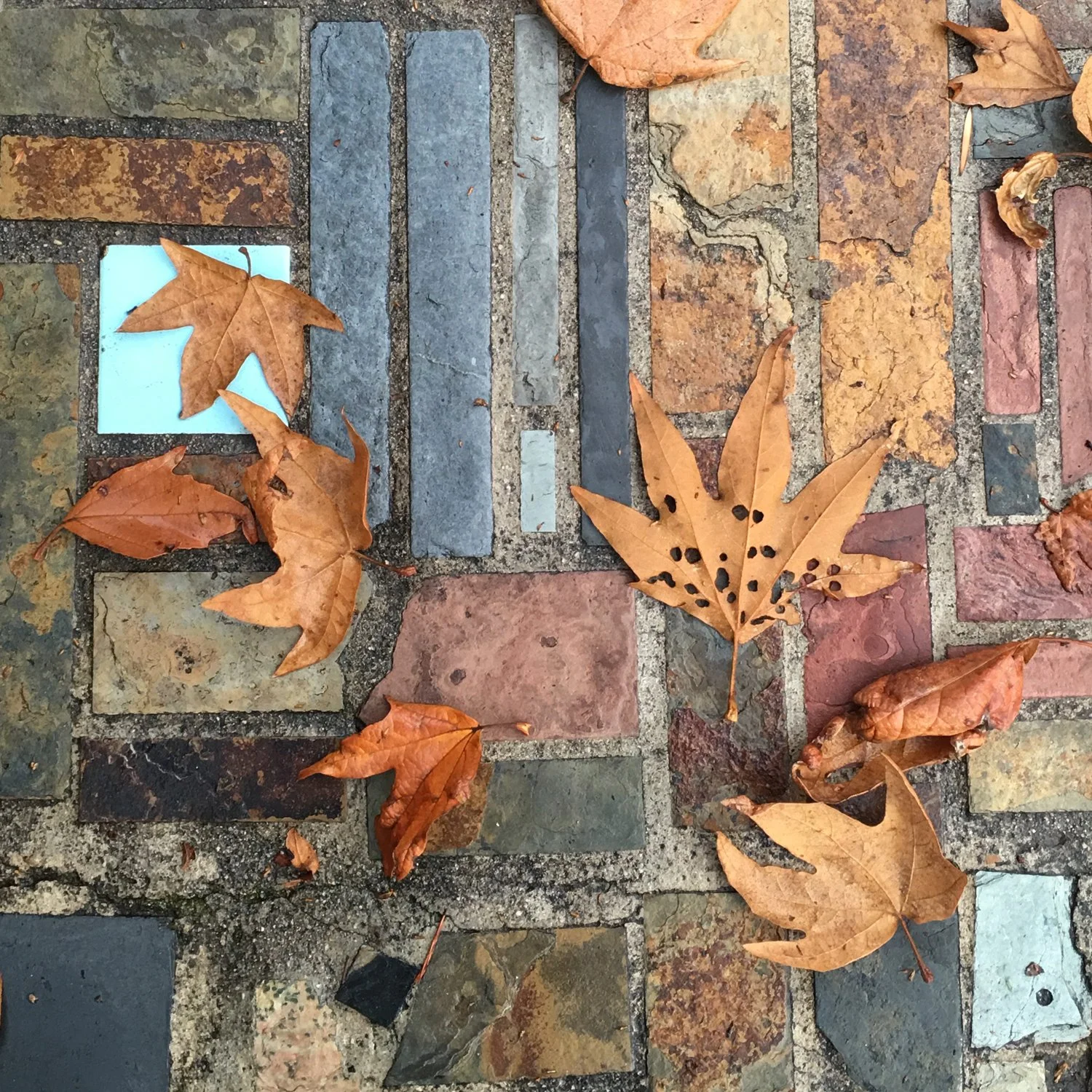 found composition.jpg