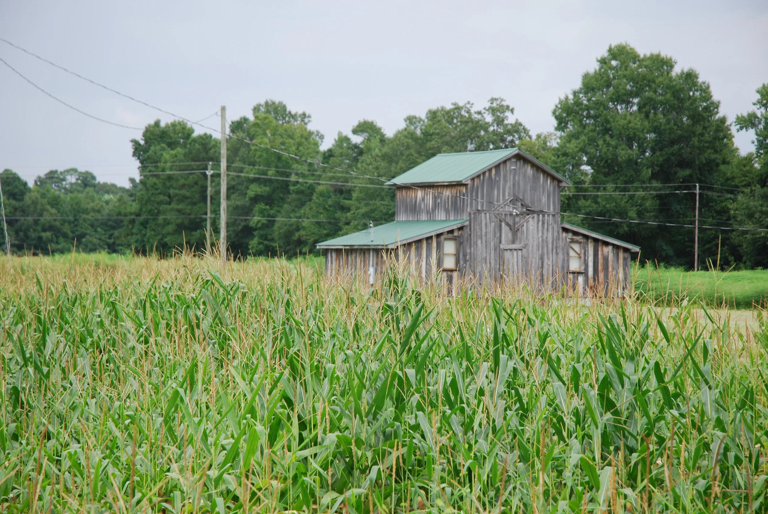 Eastern North Carolina