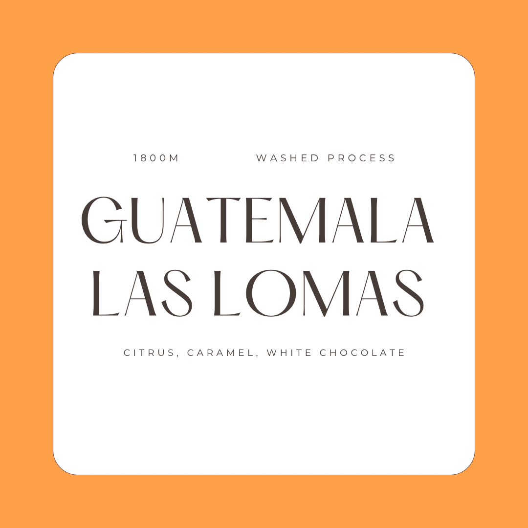 3EE84374-9970-4E7C-AC13-3F2110147207