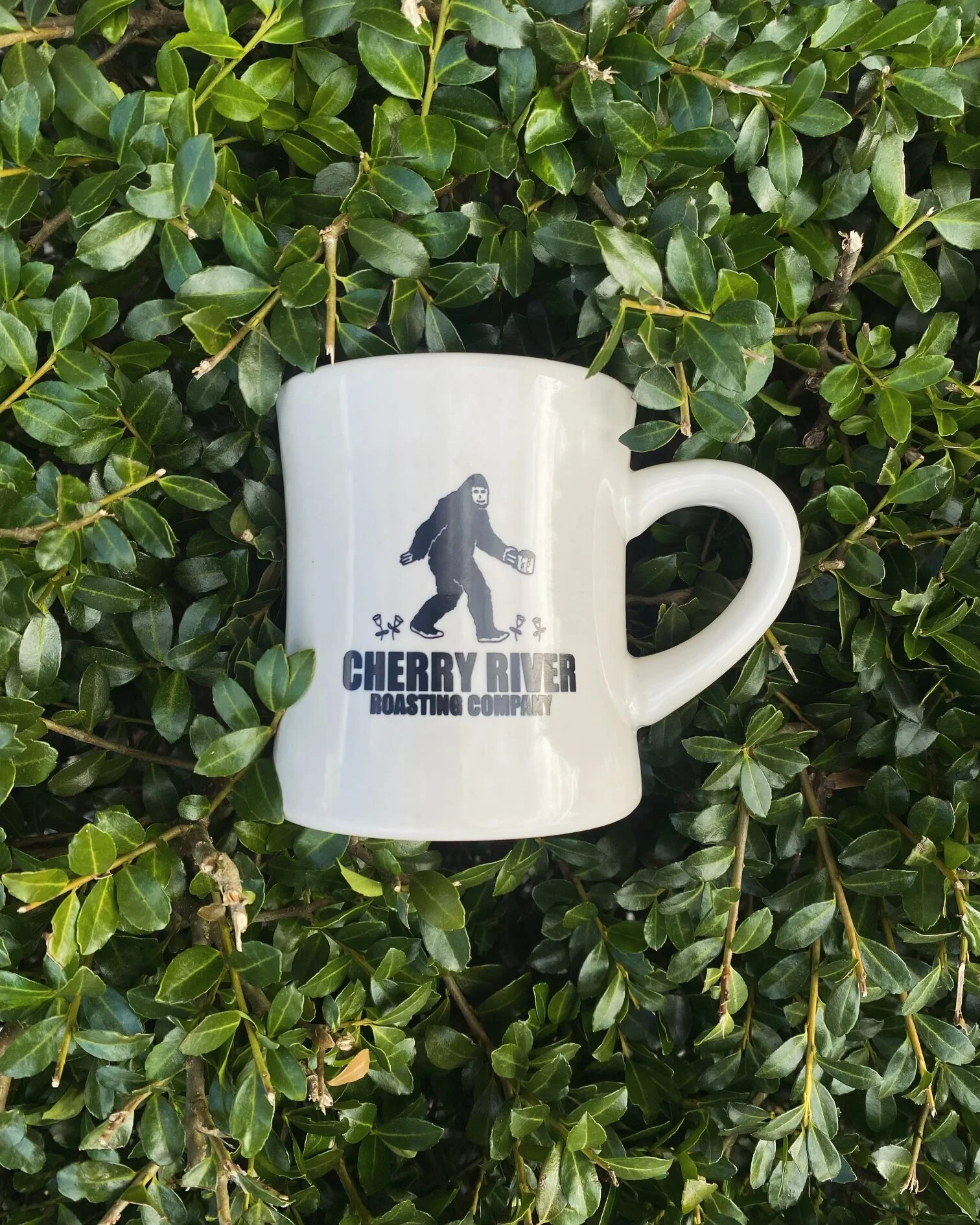 67E78F11-CEBB-4684-B5EC-92EAA84E6A64