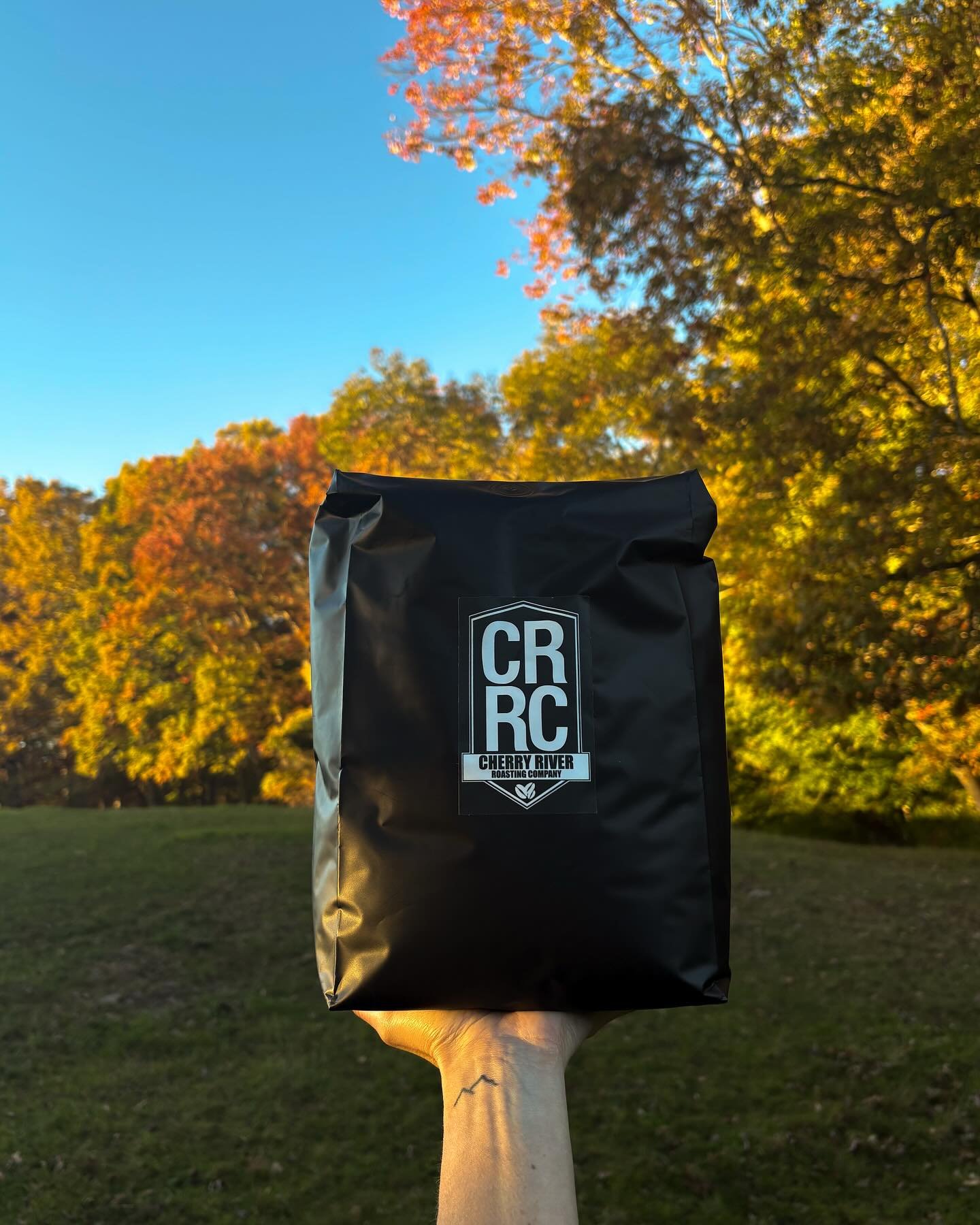 Our 5lb bags deserved a golden hour shot ✨ we have 5lb bags on our website as a single purchase, monthly subscription, &amp; bi-monthly subscription! Link in bio!