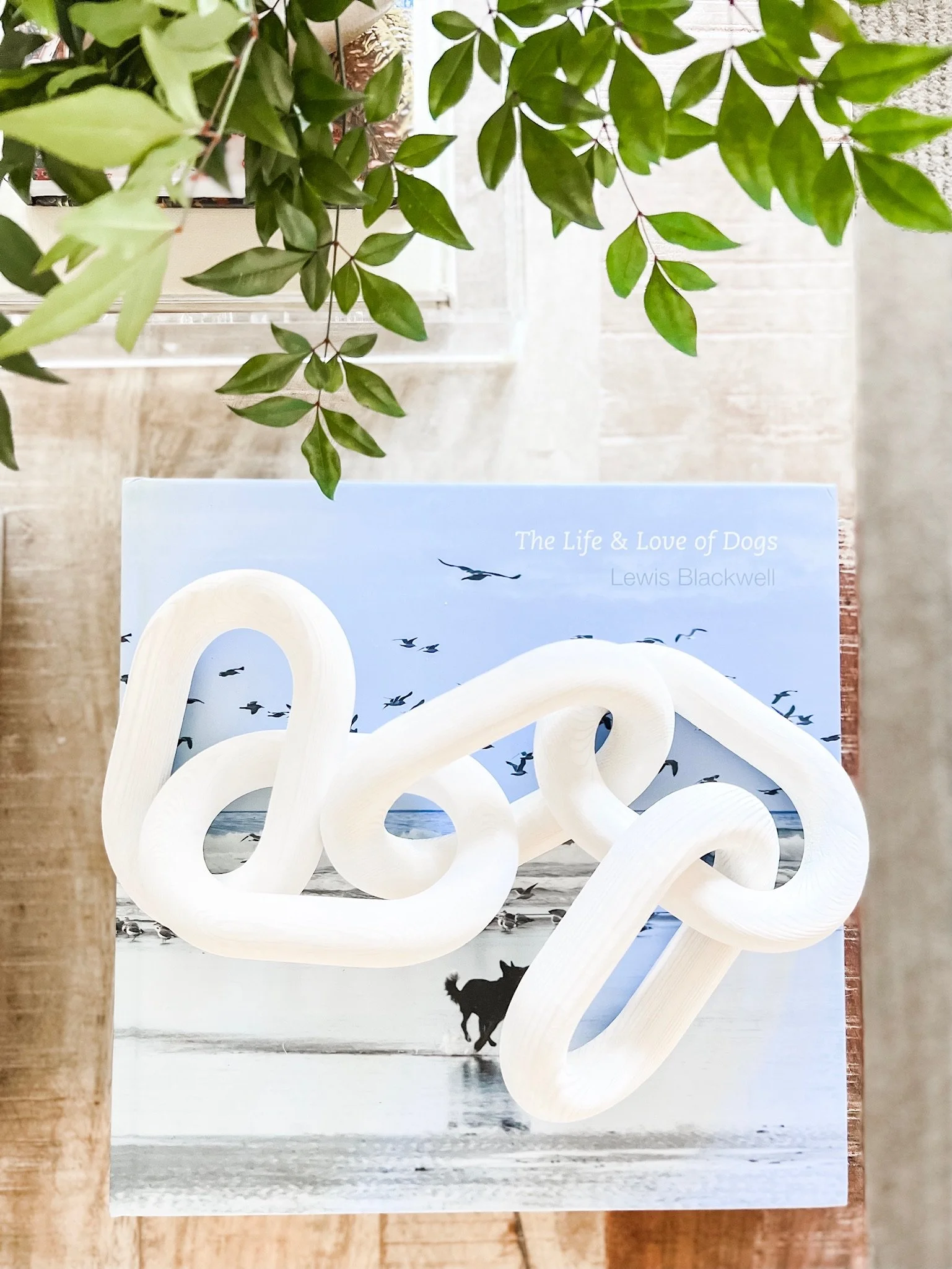 Styling Your Coffee Table: 5 Must-Haves
