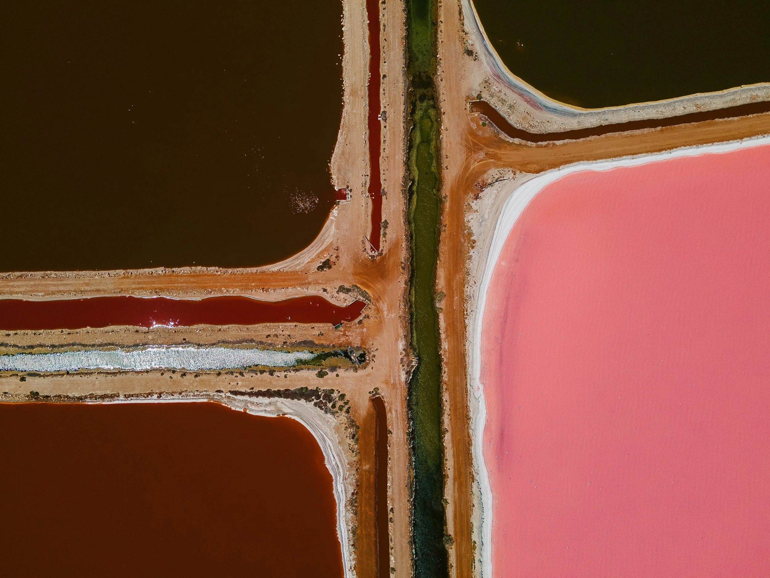 PinkLake1-hi.jpg
